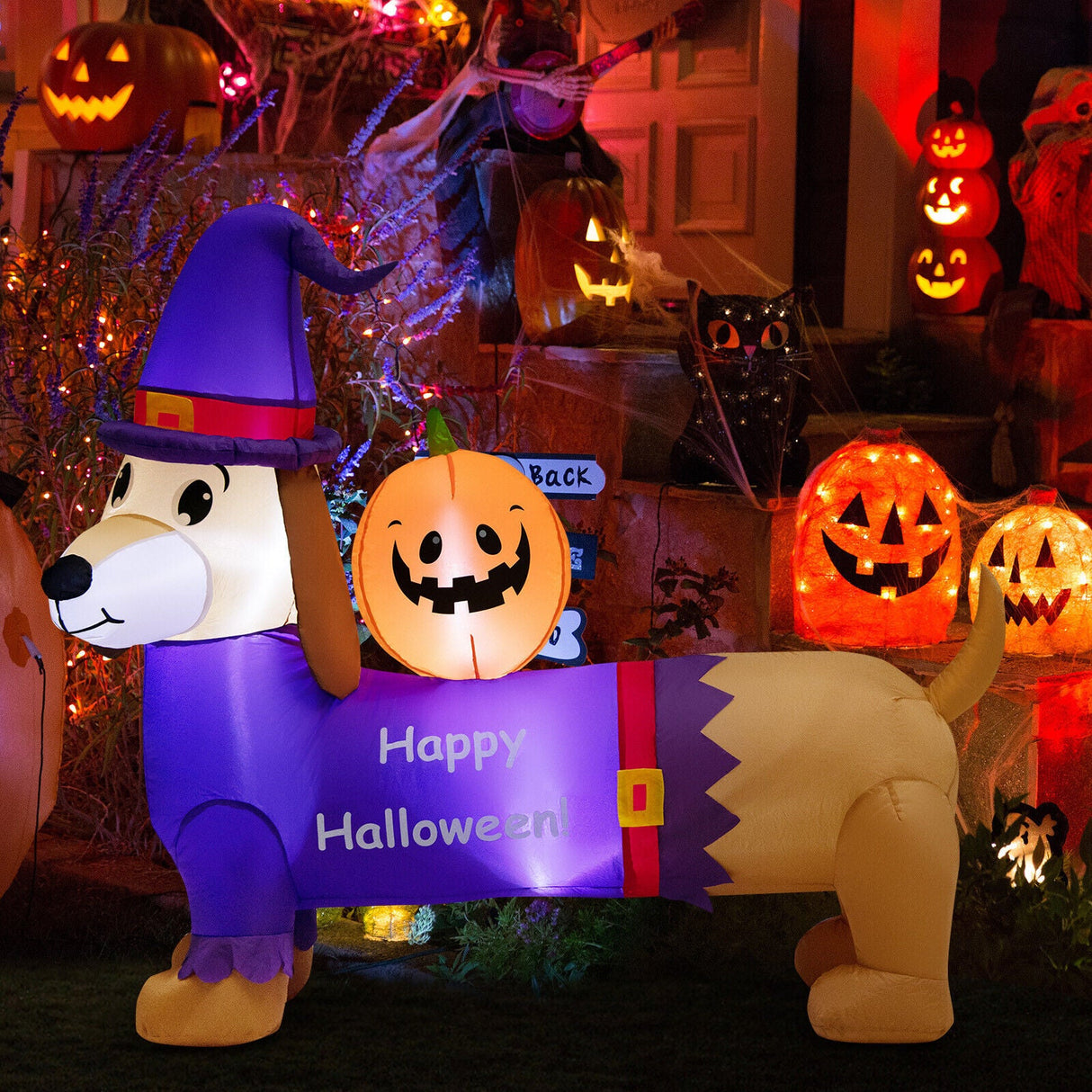 Dachshund inflable de Halloween de 5 pies de largo con calabaza