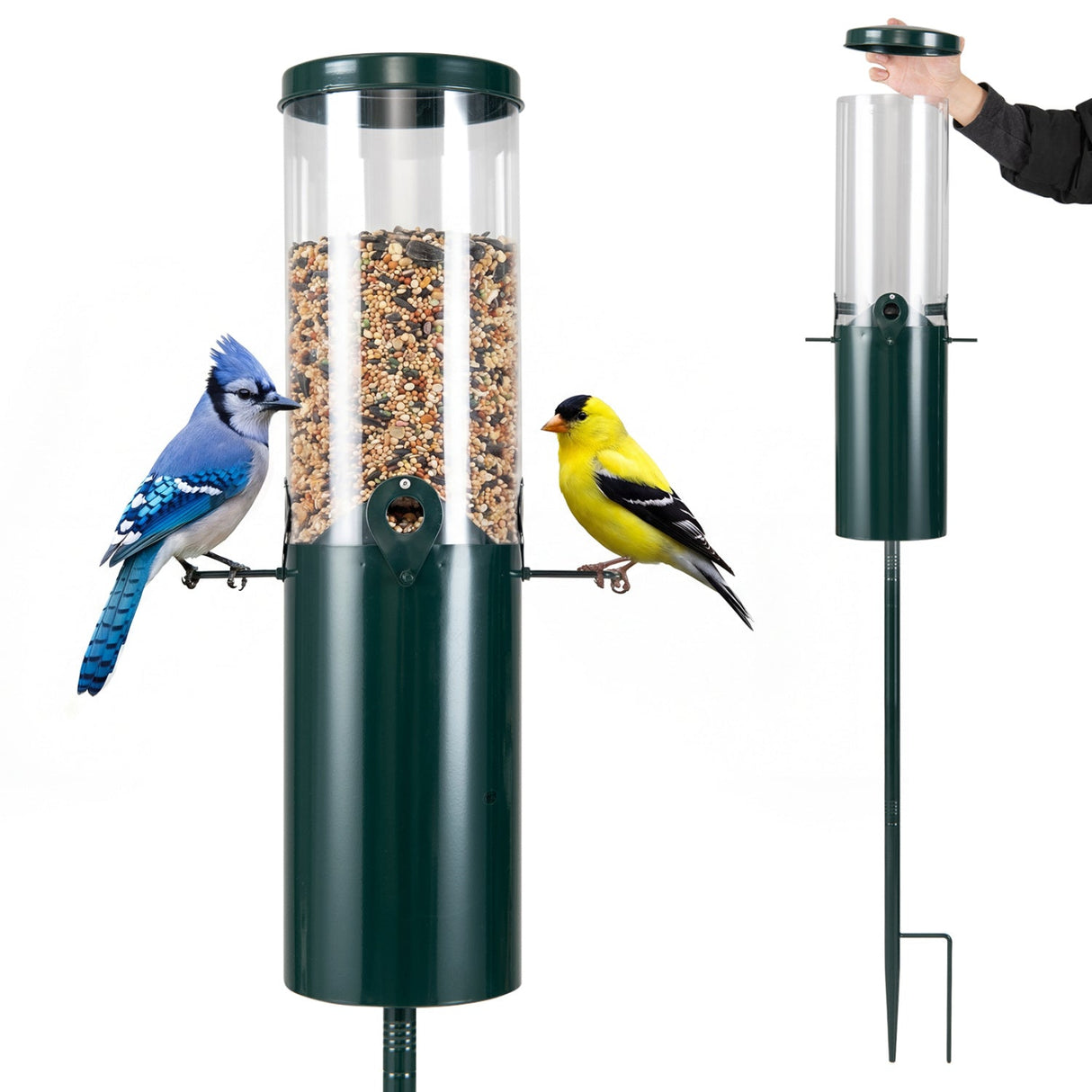 Comedero para pájaros a prueba de ardillas de 4,5 kg de gran capacidad con montaje en poste y deflector