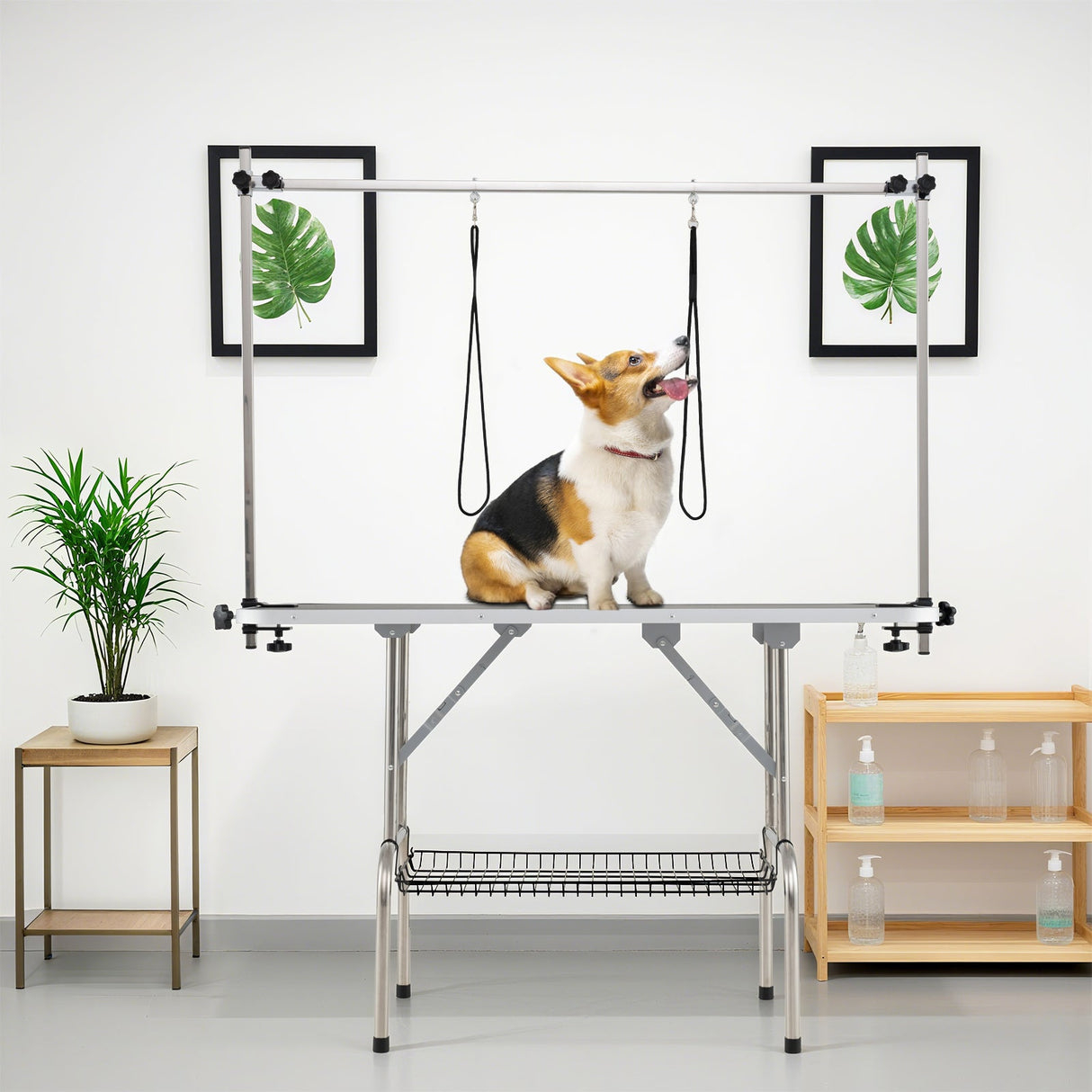 Mesa de peluquería canina plegable con brazos ajustables en altura - Negra