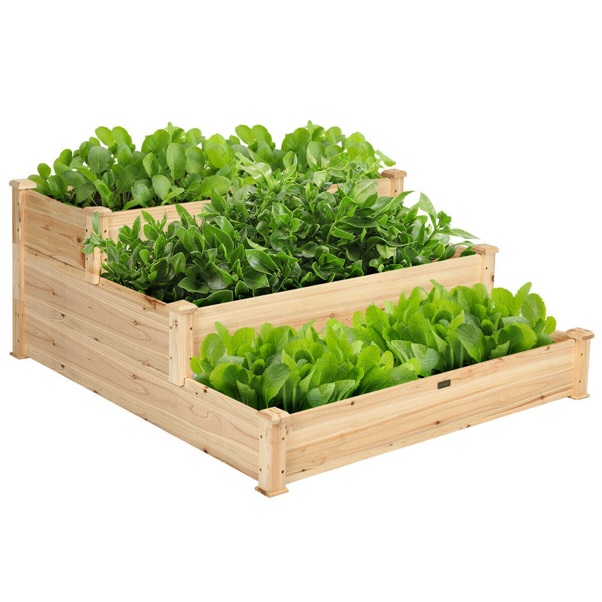 Cama de jardín elevada de madera de 3 niveles