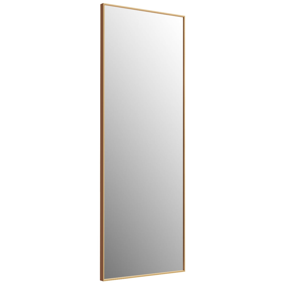 59 Inch Full Length Mirror Large Rectangle Bedroom Mirror