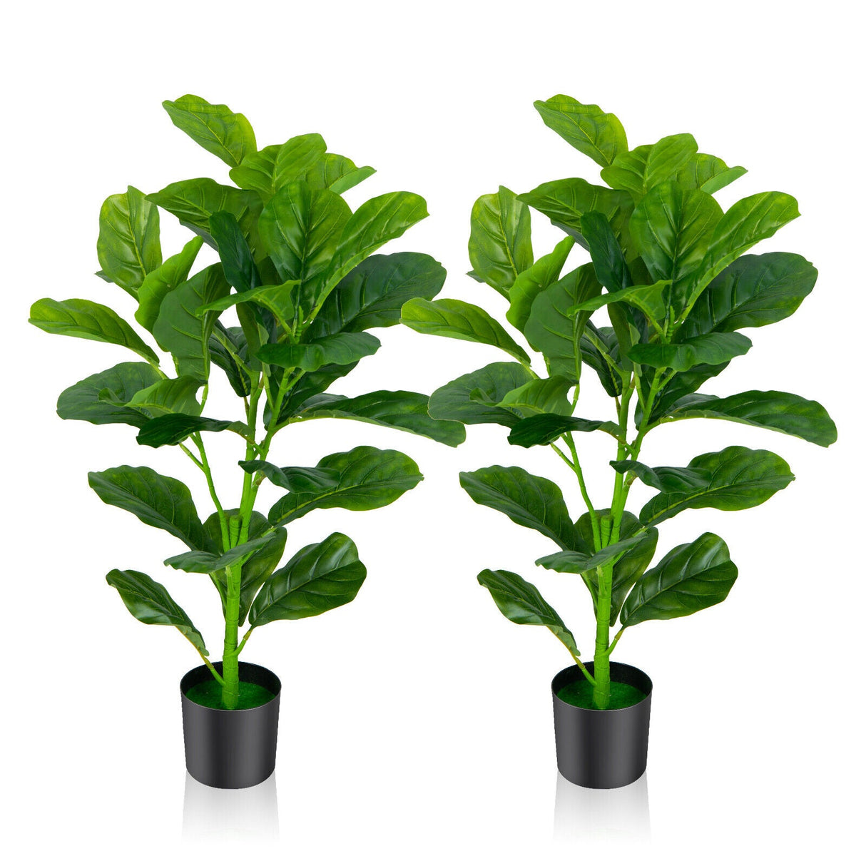 Paquete de 2 Ficus Lyrata Artificiales
