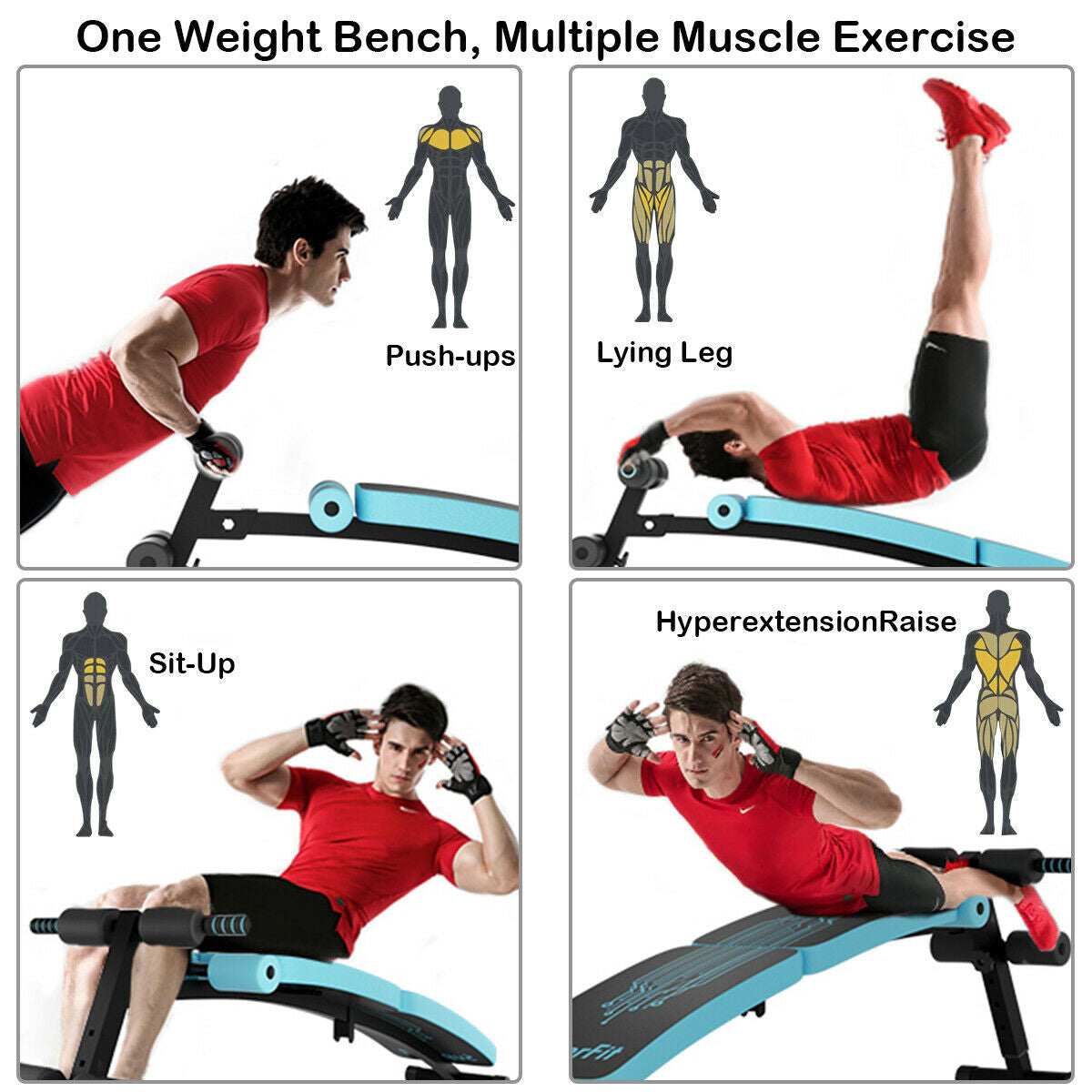 Entrenador Abdominal Twister con Banco de Ejercicios de Altura Ajustable