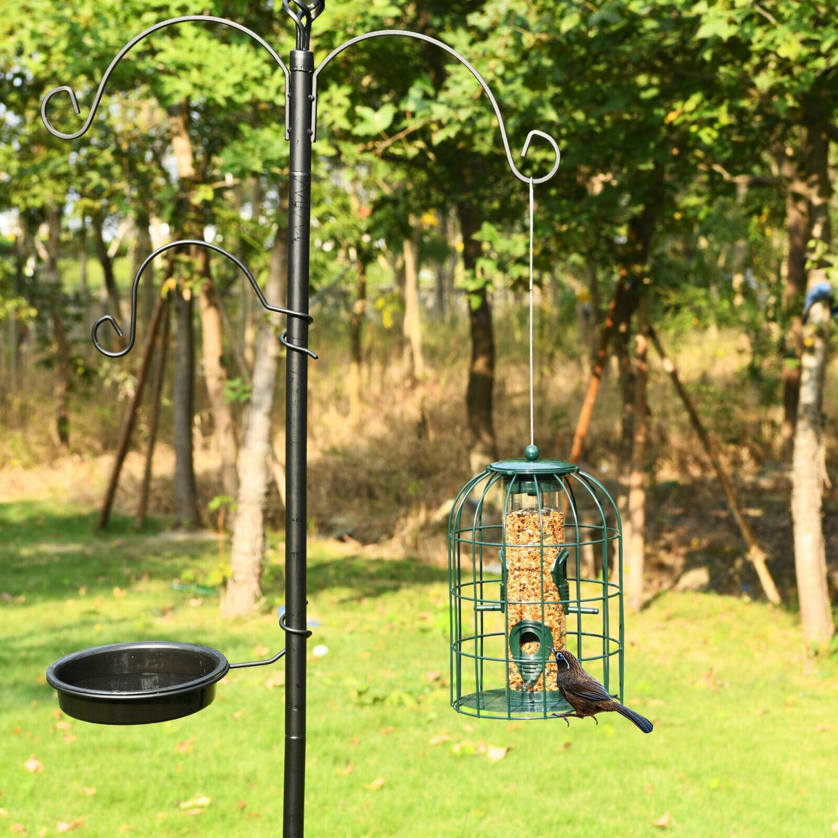Comedero tubular para pájaros silvestres, a prueba de ardillas, con jaula, protector de semillas de metal para exteriores, disuasorio