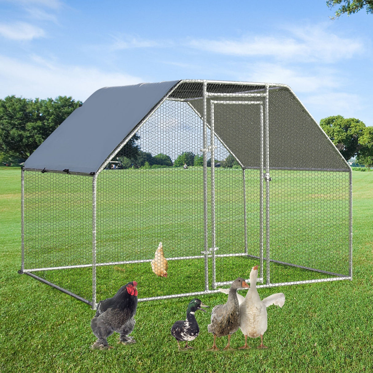 Corral Grande para Gallinas de 9.5 x 6.5 Pies