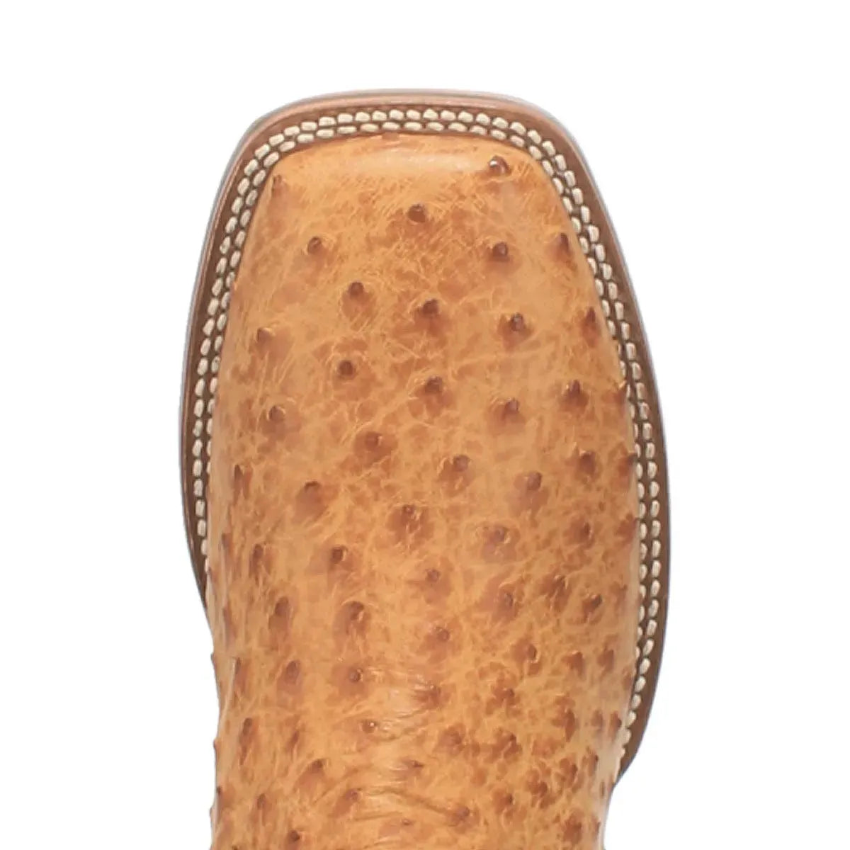 Botas vaqueras de piel de avestruz Dan Post Kershaw para hombre