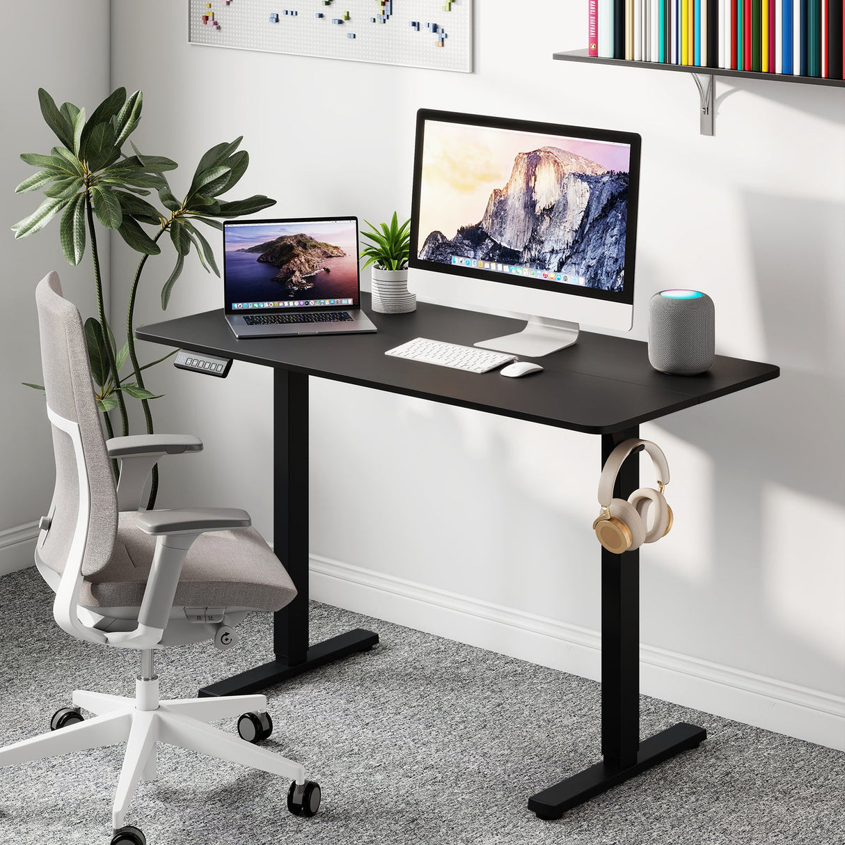 48 Inch x 24 Inch Ergonomic Electric Standing Desk with 3 Memory Settings for Home Office