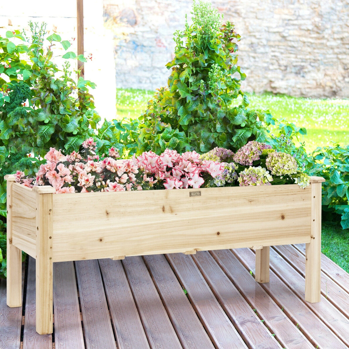 Huerto elevado de madera para verduras, flores y hierbas