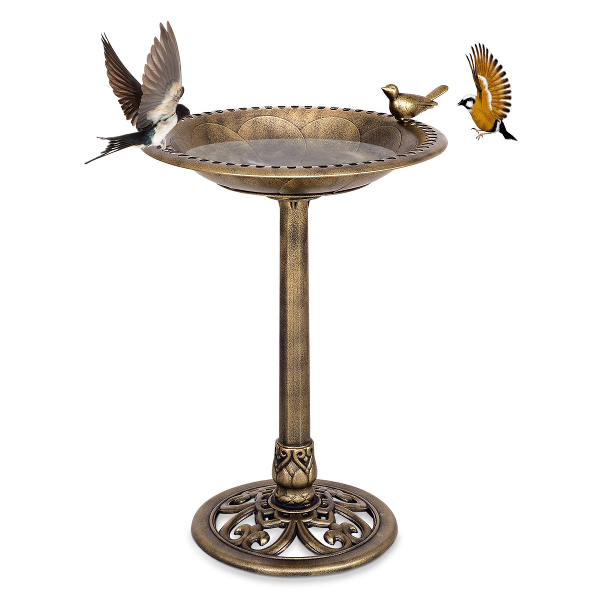 Bañera/Comedero para pájaros independiente con pedestal de oro antiguo
