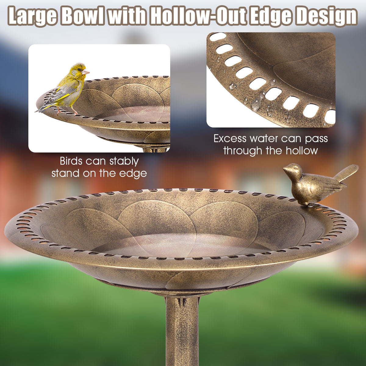 Bañera/Comedero para pájaros independiente con pedestal de oro antiguo