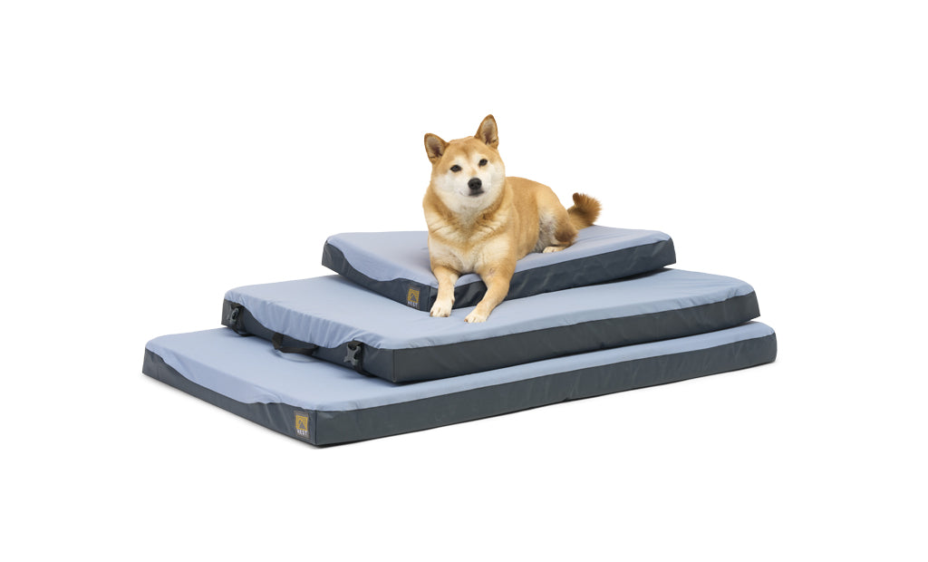 Cama para Perros HEST