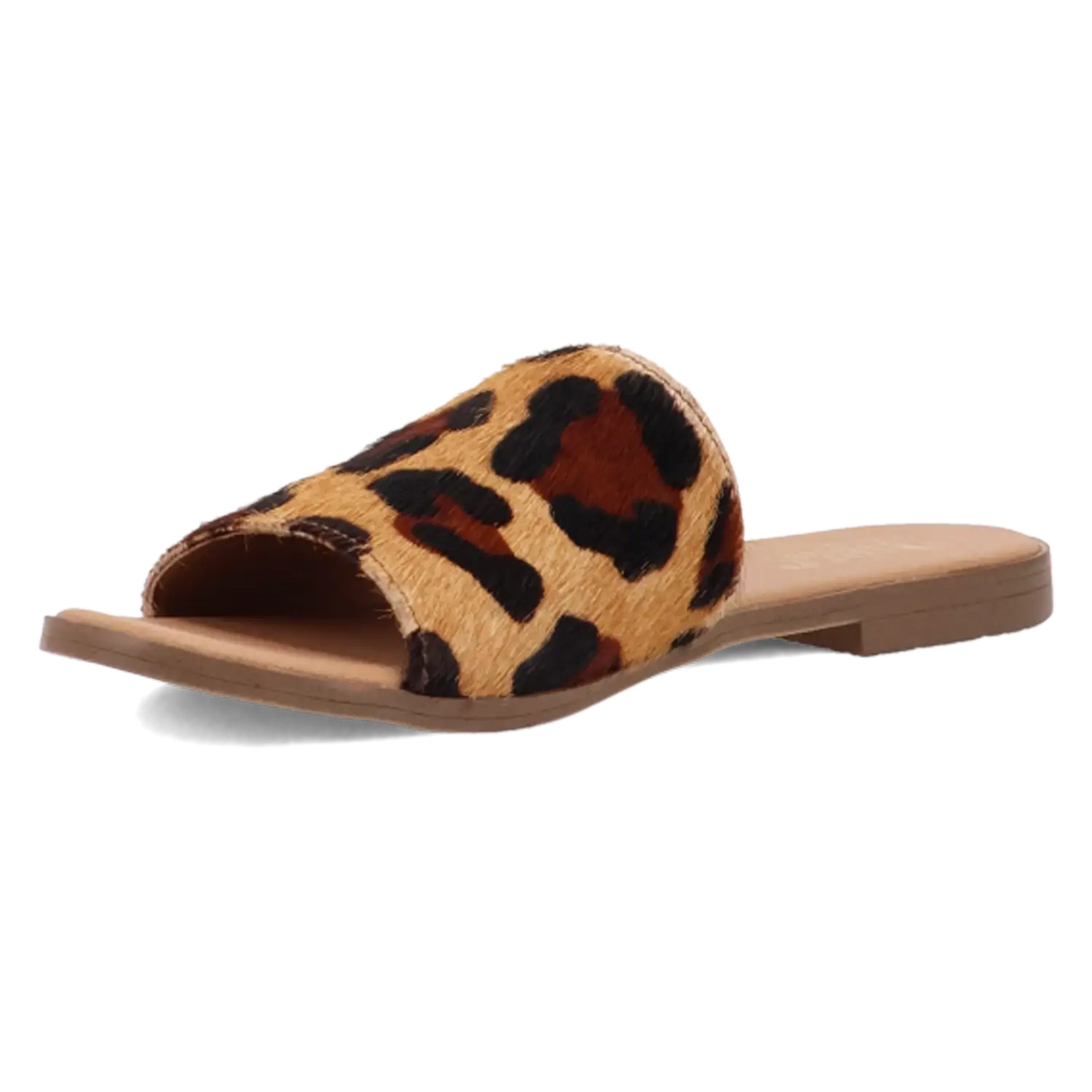Dingo Tabby - Sandalias de mujer