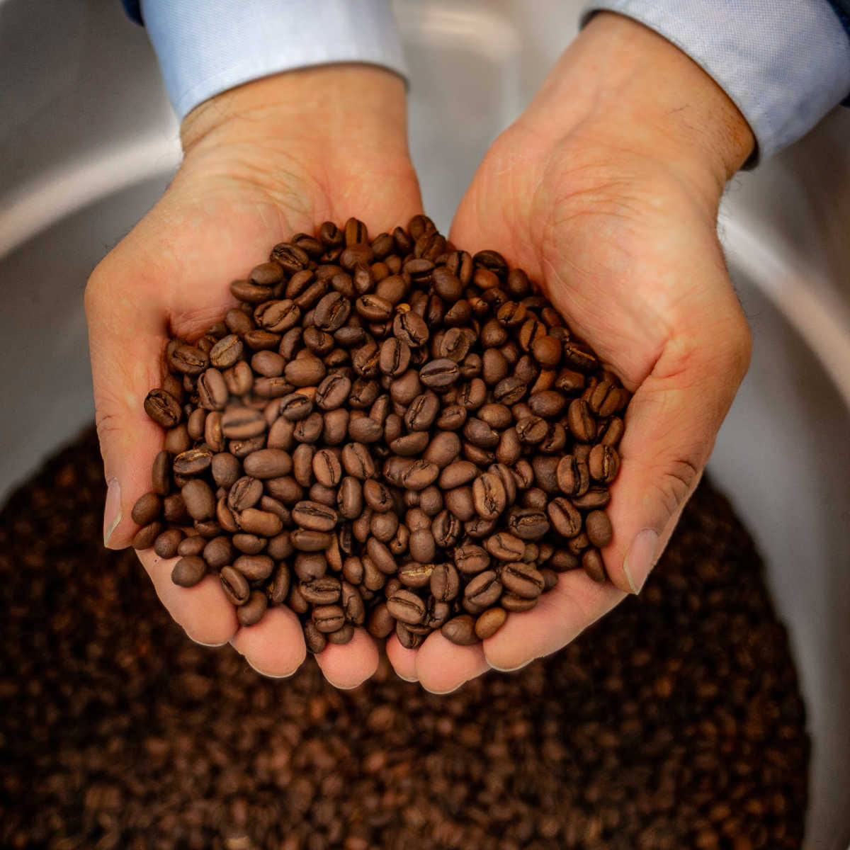 Café Fermentado con Enzimas 16oz (454g)