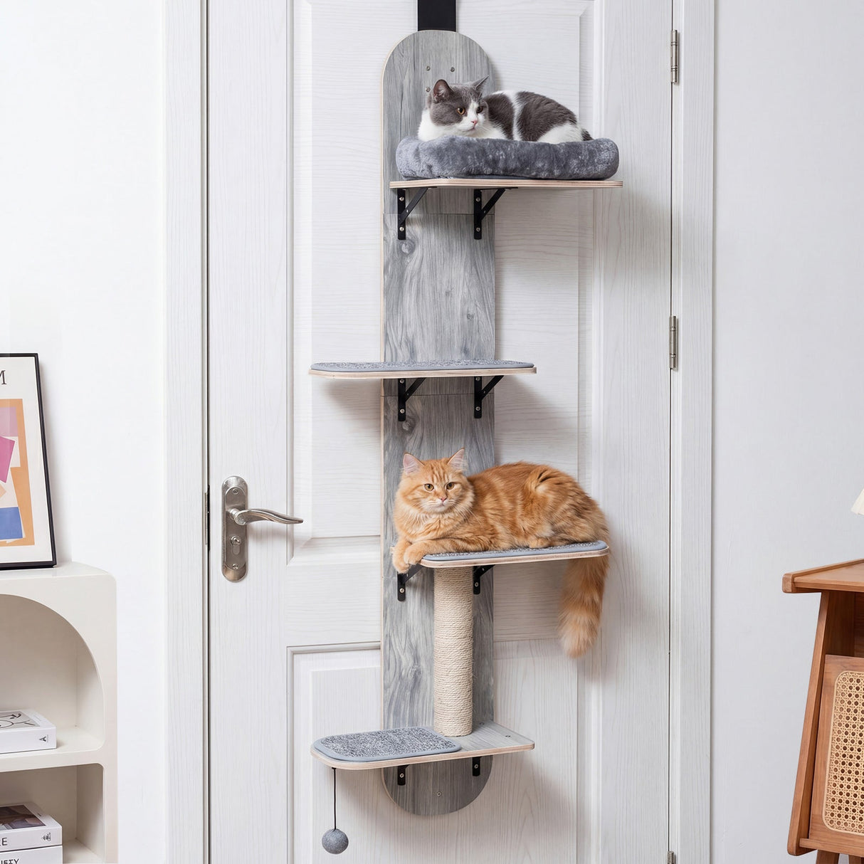 Trepadora para gatos para colgar en la puerta, de 4 niveles, altura ajustable con cama de felpa