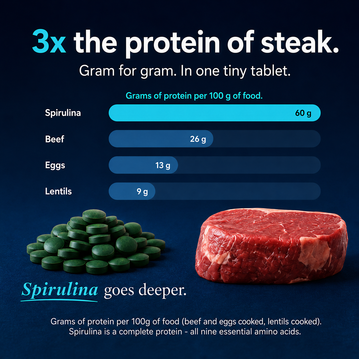 ENERGYbits® Spirulina | Large Bag