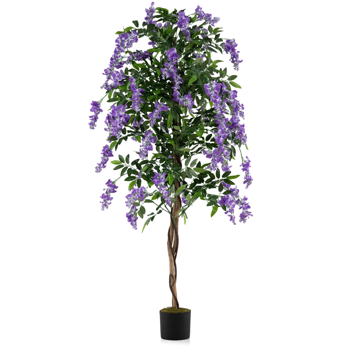 Juego de 2 plantas de ficus artificiales de 1.83 m, árboles de glicinia artificiales con troncos naturales y flores moradas realistas