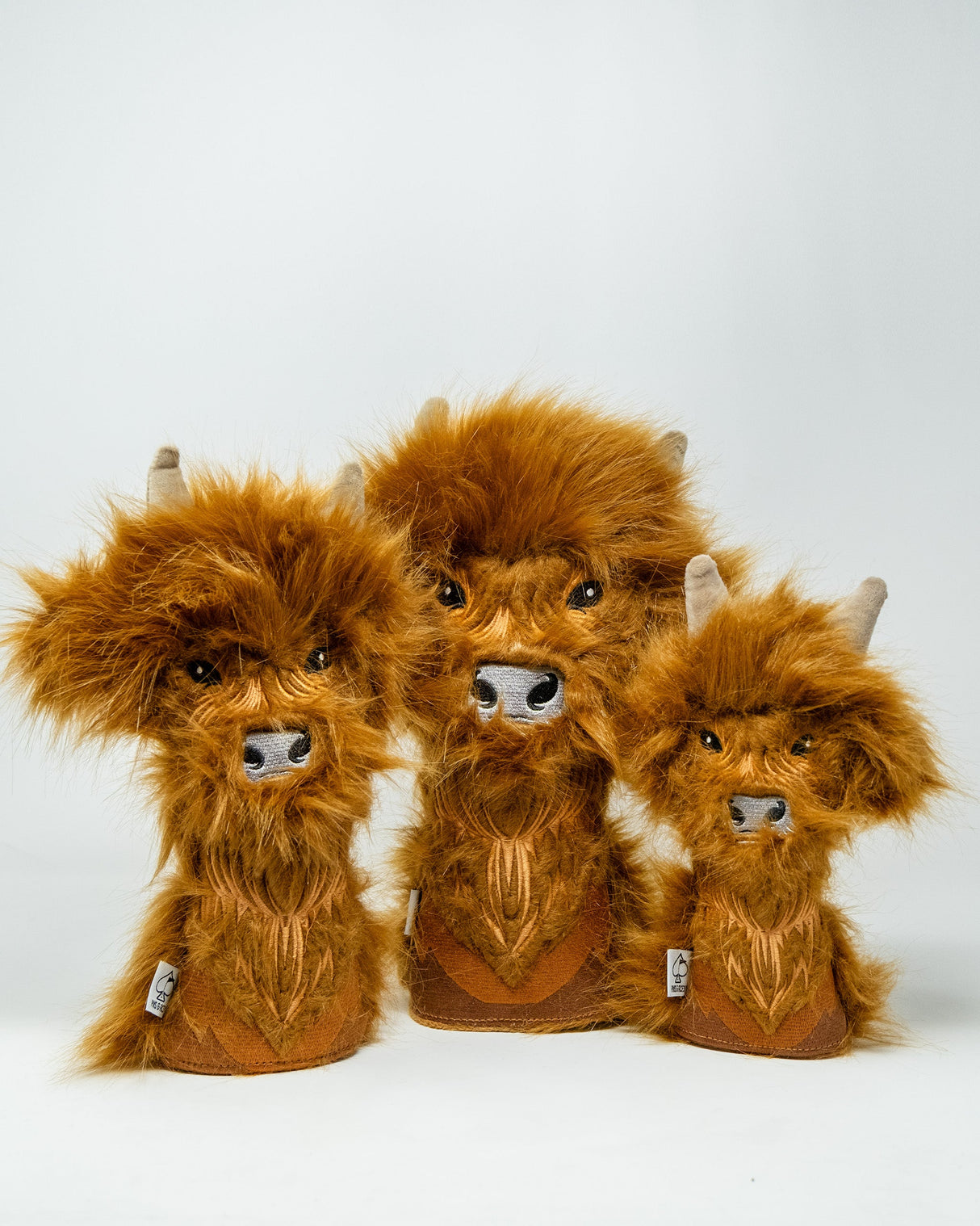 Vaca de las Tierras Altas - Cubierta Híbrida
