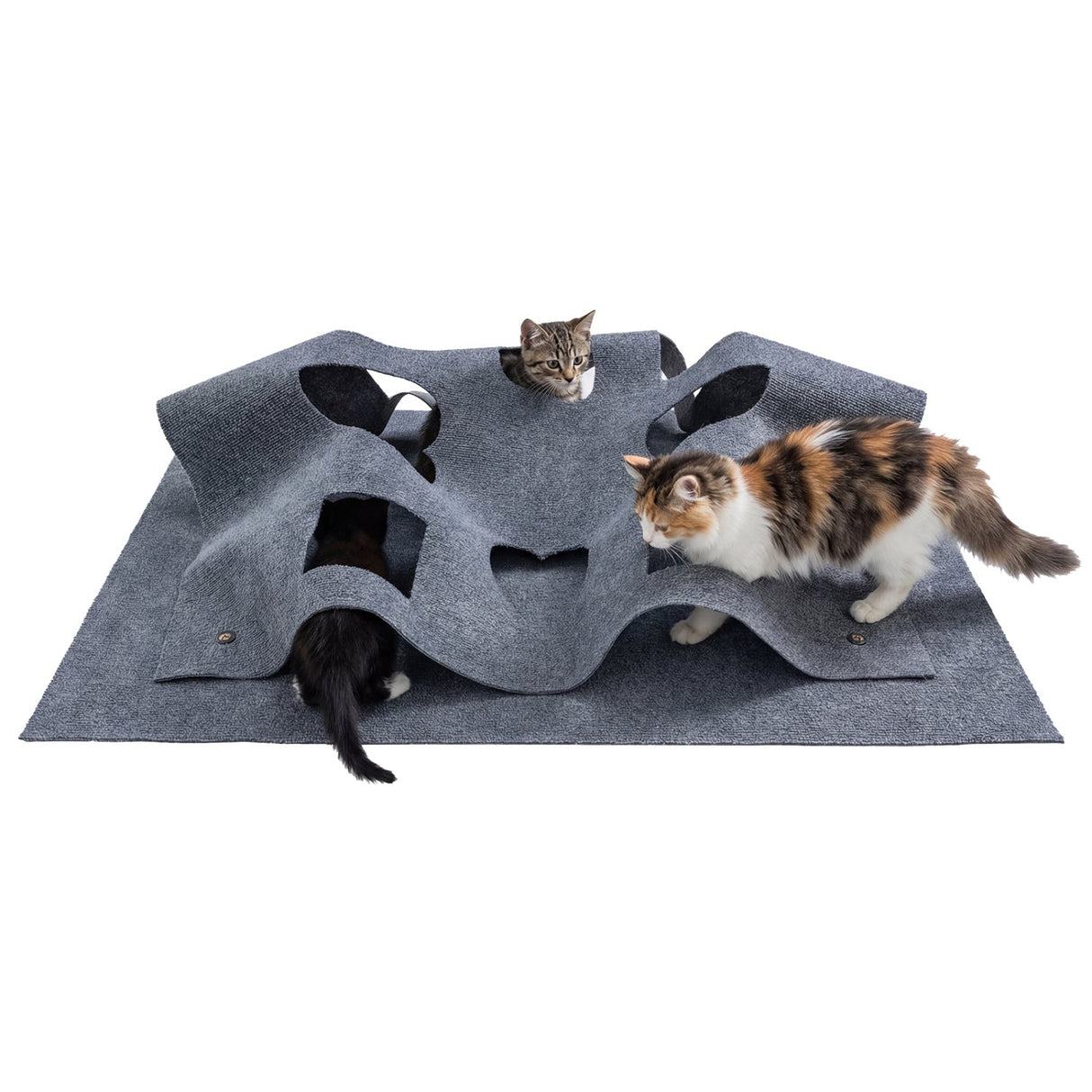 Túnel Interactivo Plegable para Gatos de Interior