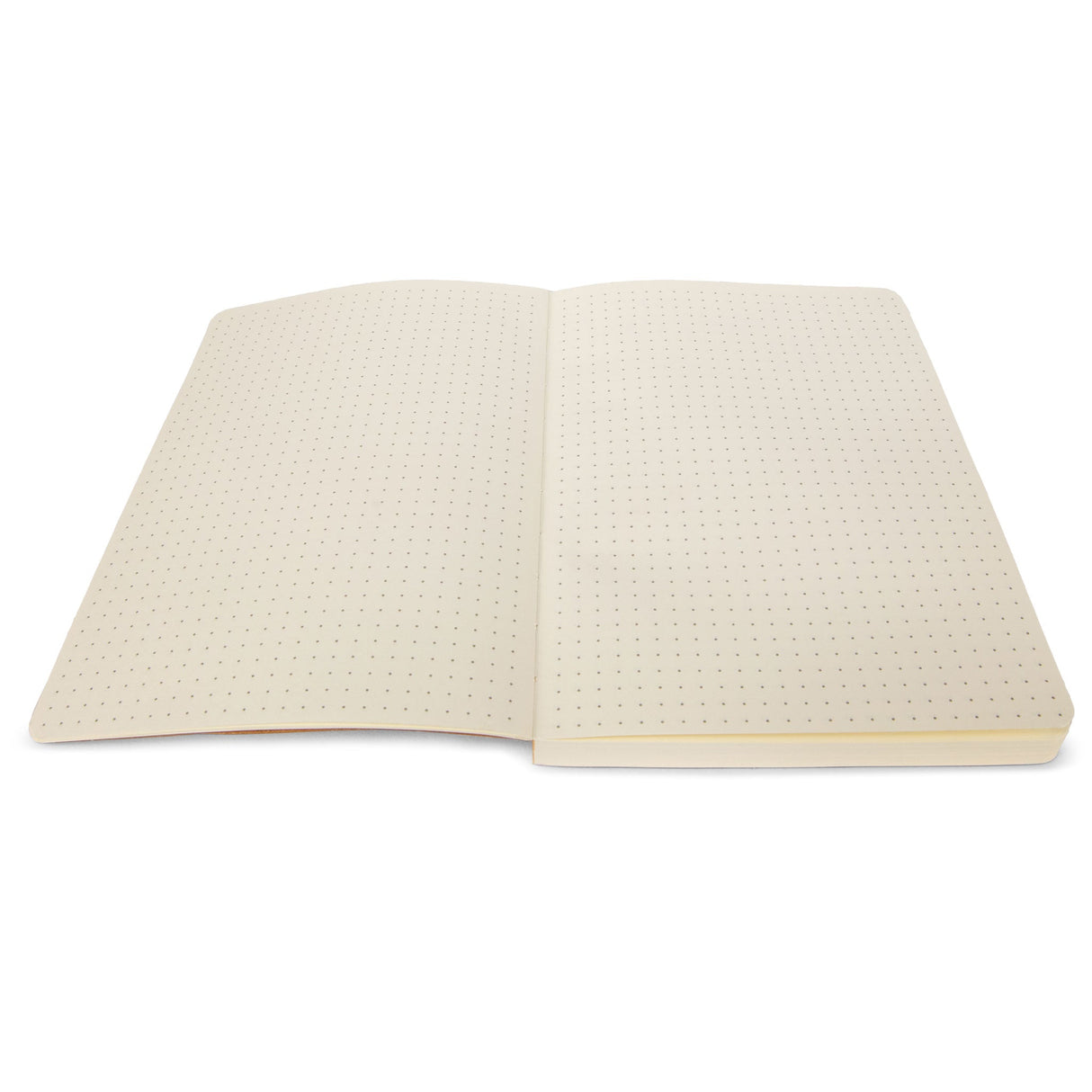 Recambio para diario/cuaderno
