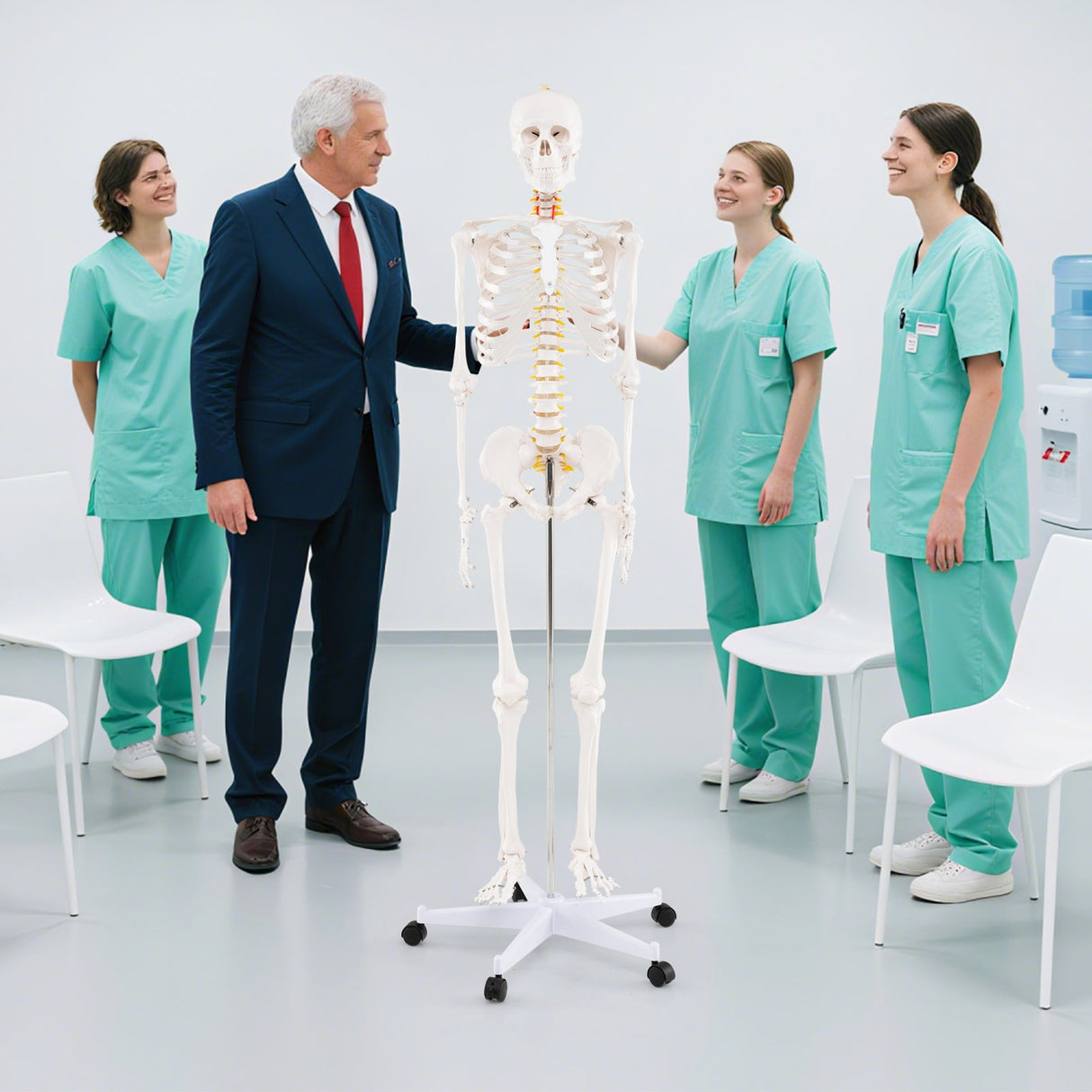 Modelo de esqueleto humano de tamaño natural para anatomía, esqueleto anatómico con sistema nervioso