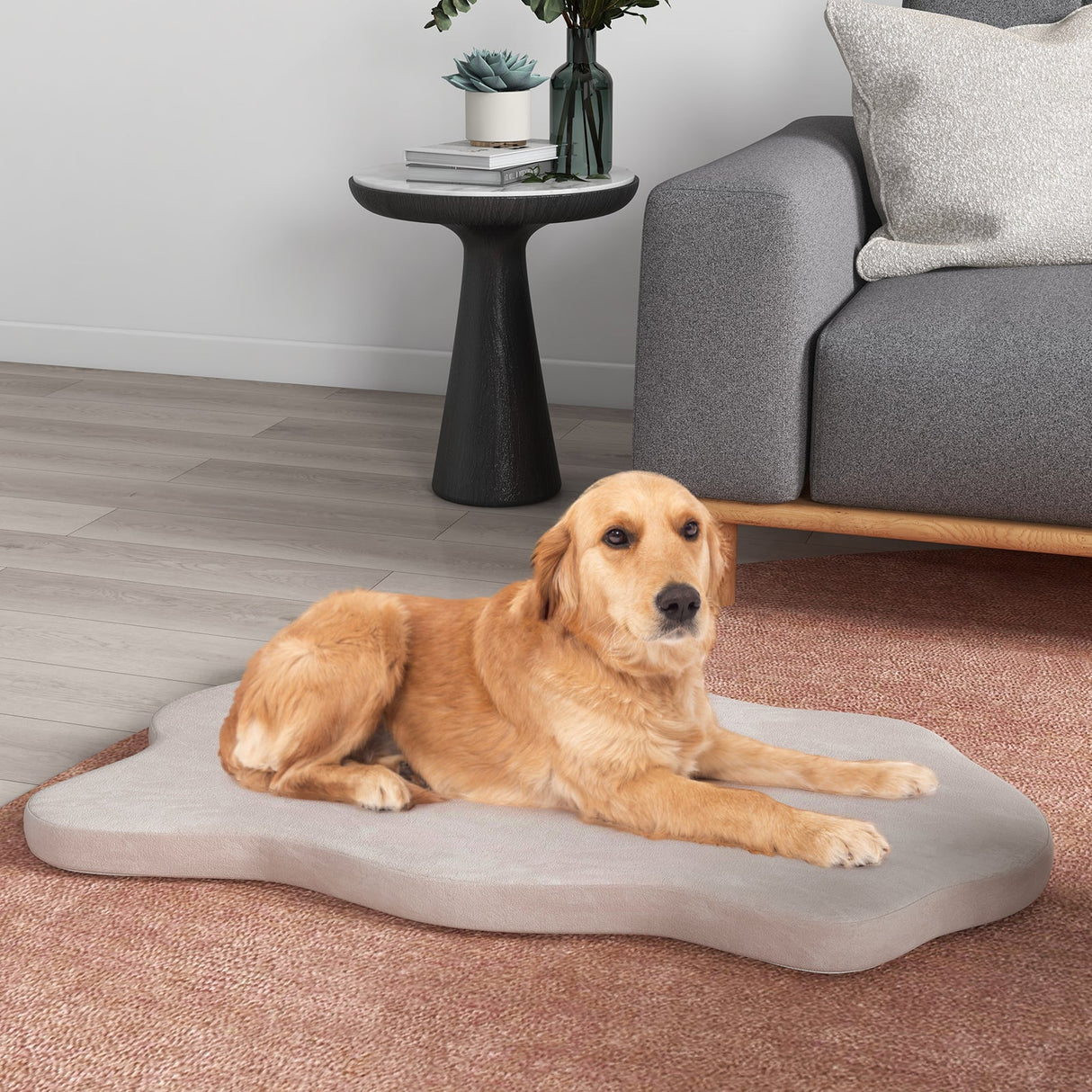 Cama ortopédica para perros con soporte de espuma viscoelástica para perros grandes