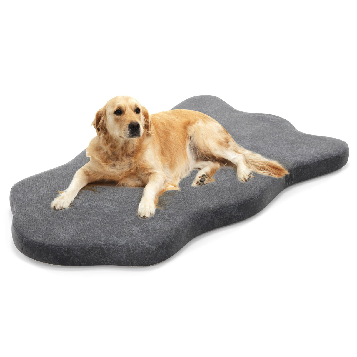 Cama ortopédica para perros con soporte de espuma viscoelástica para perros grandes