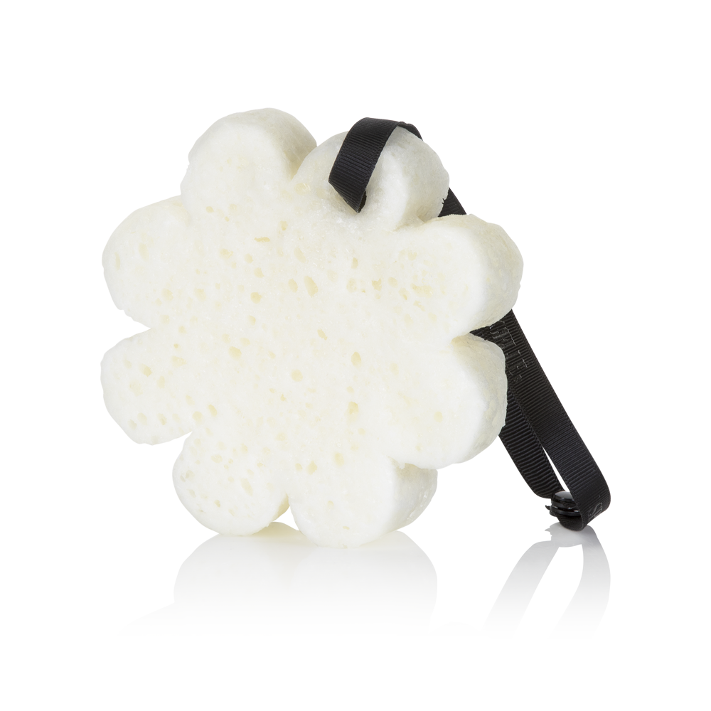 Cereza Tonka Almizcle | Flor en Caja