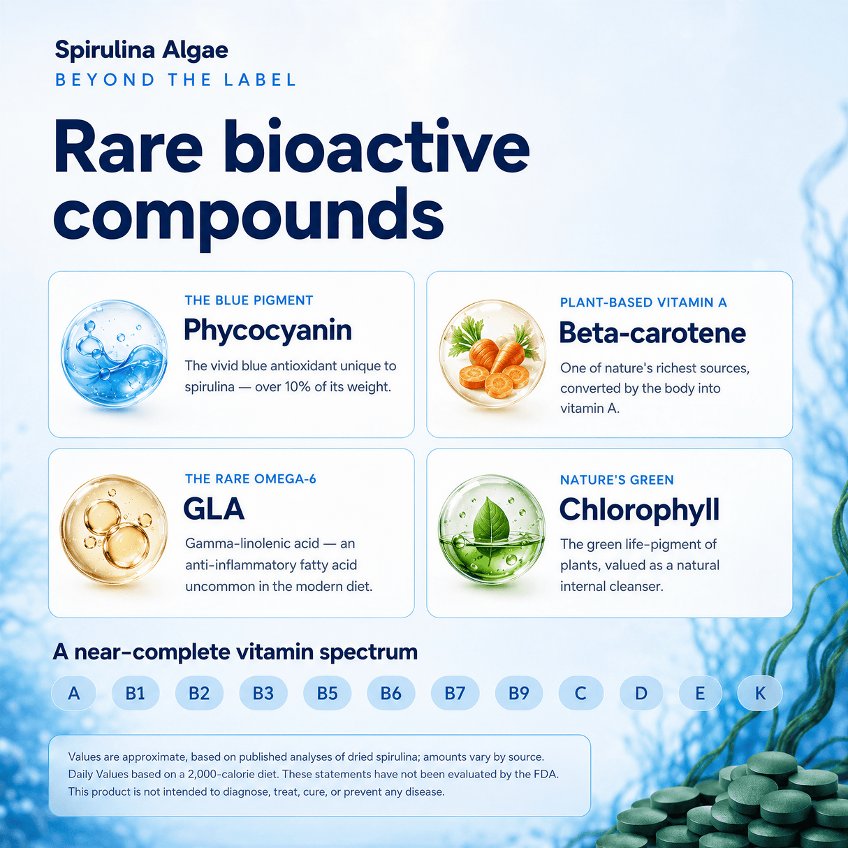 VITALITYbits® Spirulina/Chlorella | Large Bag