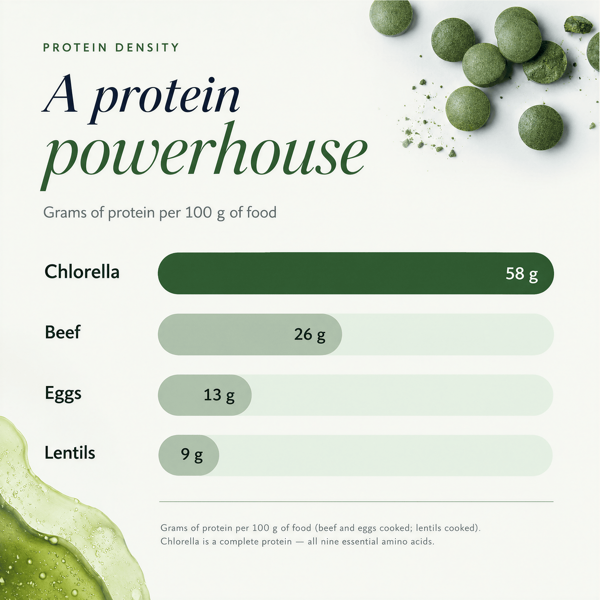 RECOVERYbits® Chlorella | Large Bag