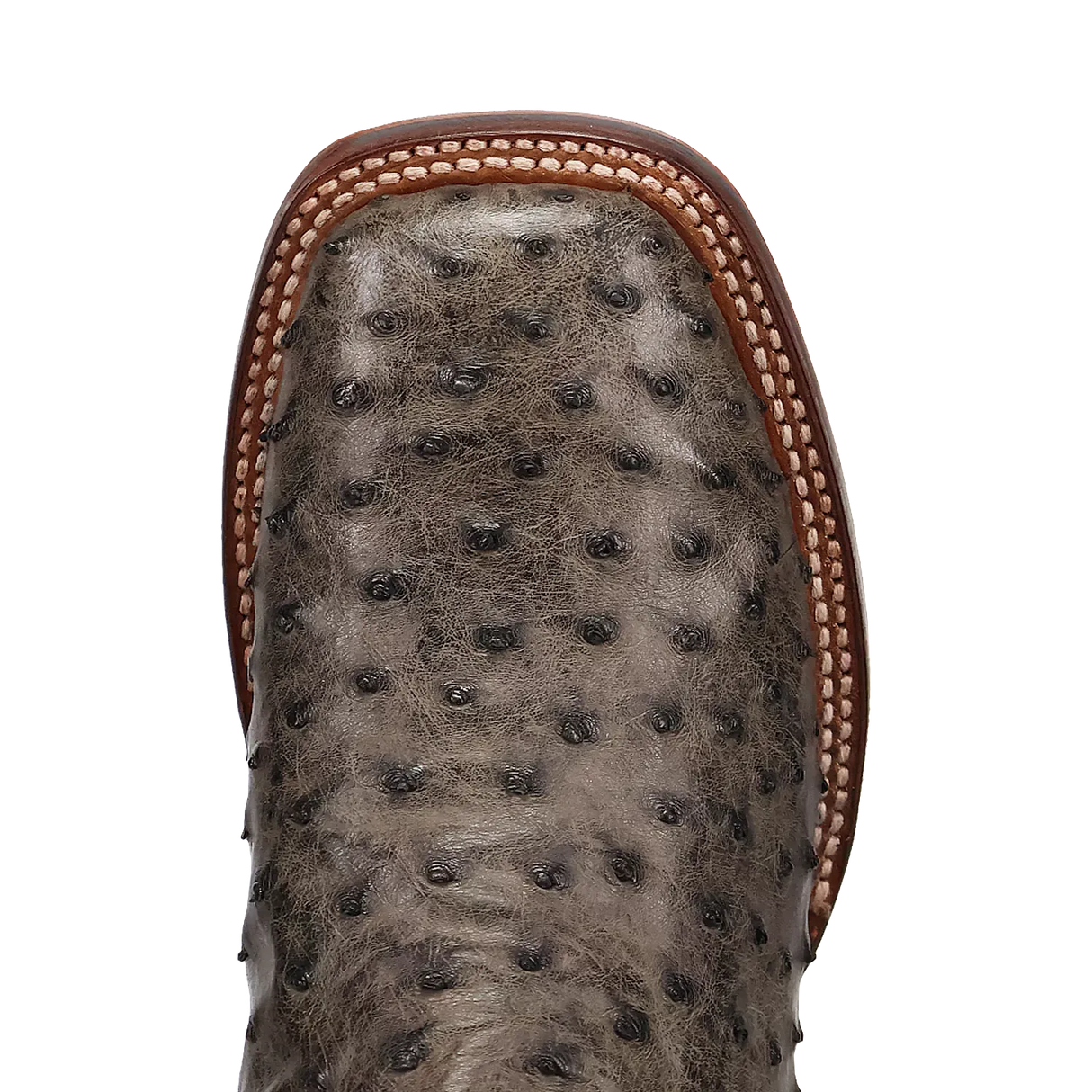 Botas Cowboy Dan Post Alamosa (Gris/Negro) - Piel de Avestruz para Hombre