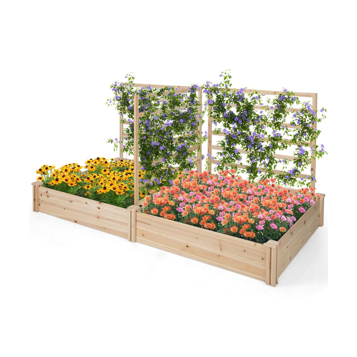 Cama de jardín elevada con 2 maceteros y 3 enrejados - Natural