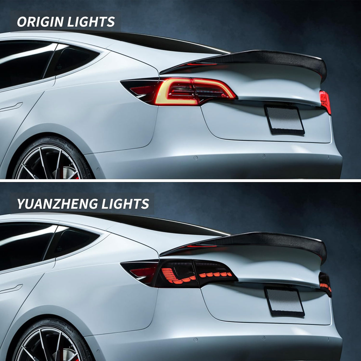 TESERY Dragon Scale Tail Lights for Model 3/Y