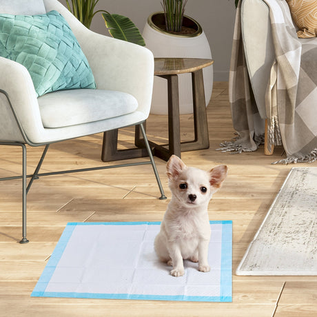 300 Unidades Almohadilla Para Orina de Mascotas de 43 x 61 cm