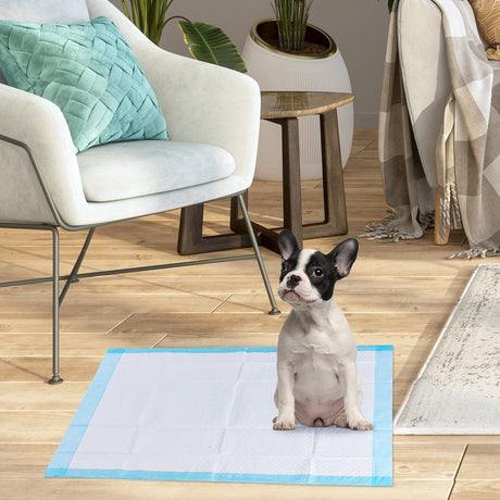 200 unidades de almohadillas absorbentes para mascotas de 24 x 24 pulgadas