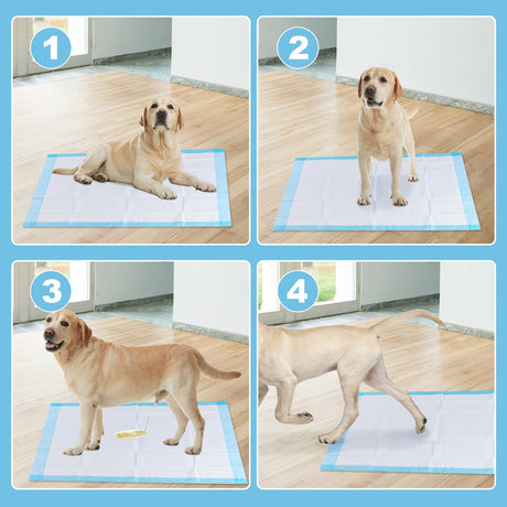 100 unidades de 76,2 x 91,4 cm Almohadilla para orina de mascotas