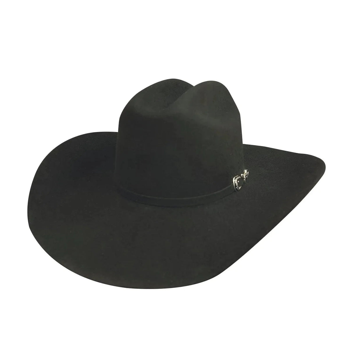 Bullhide PBR Outlaw - (8X) Sombrero vaquero de fieltro de pelo
