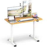 Electric Standing Desk Adjustable Stand up Computer Desk Anti-collision