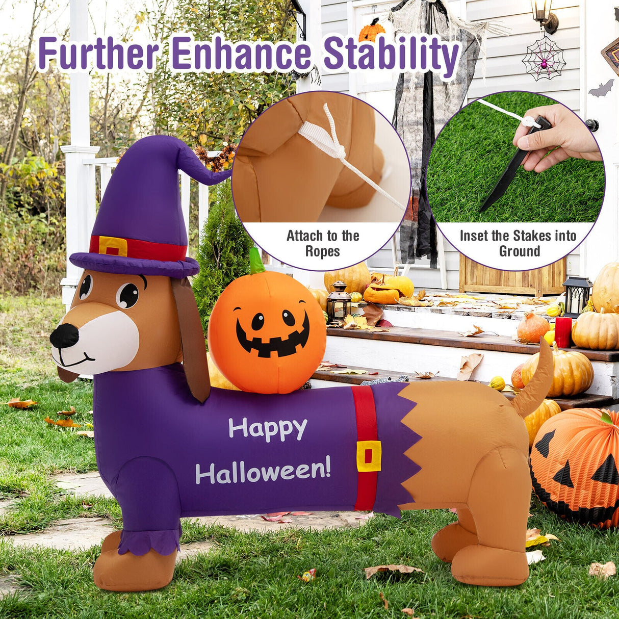 Dachshund inflable de Halloween de 5 pies de largo con calabaza