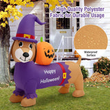 Dachshund inflable de Halloween de 5 pies de largo con calabaza