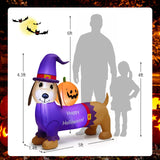 Dachshund inflable de Halloween de 5 pies de largo con calabaza