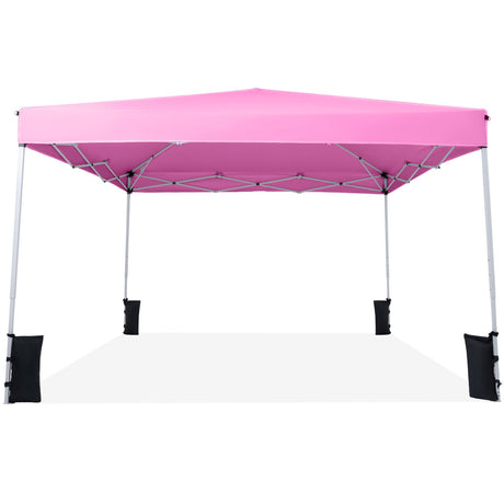 Carpa Canopy Plegable de 10 x 10 pies con Bolsa de Transporte y 4 Sacos de Arena