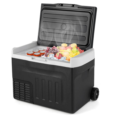 Refrigerador de coche de 12 V