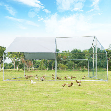 Gallinero transitable de 13 x 13 pies con cubierta impermeable para granja de patio exterior