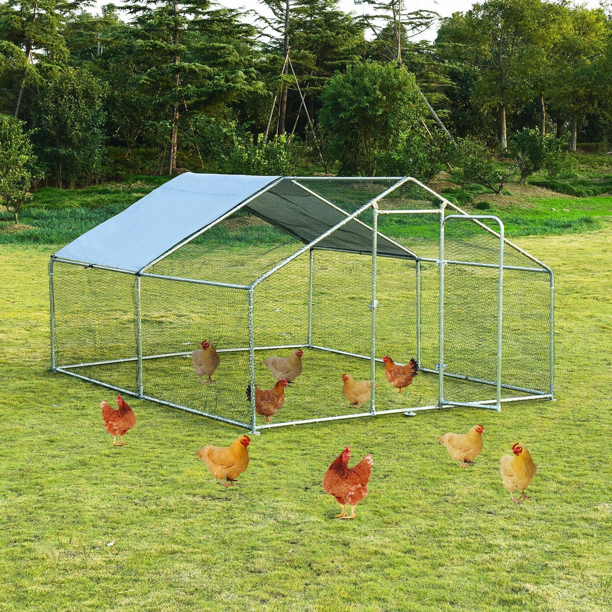 Gallinero Grande con Techo, Jaula de Sombra y Entrada