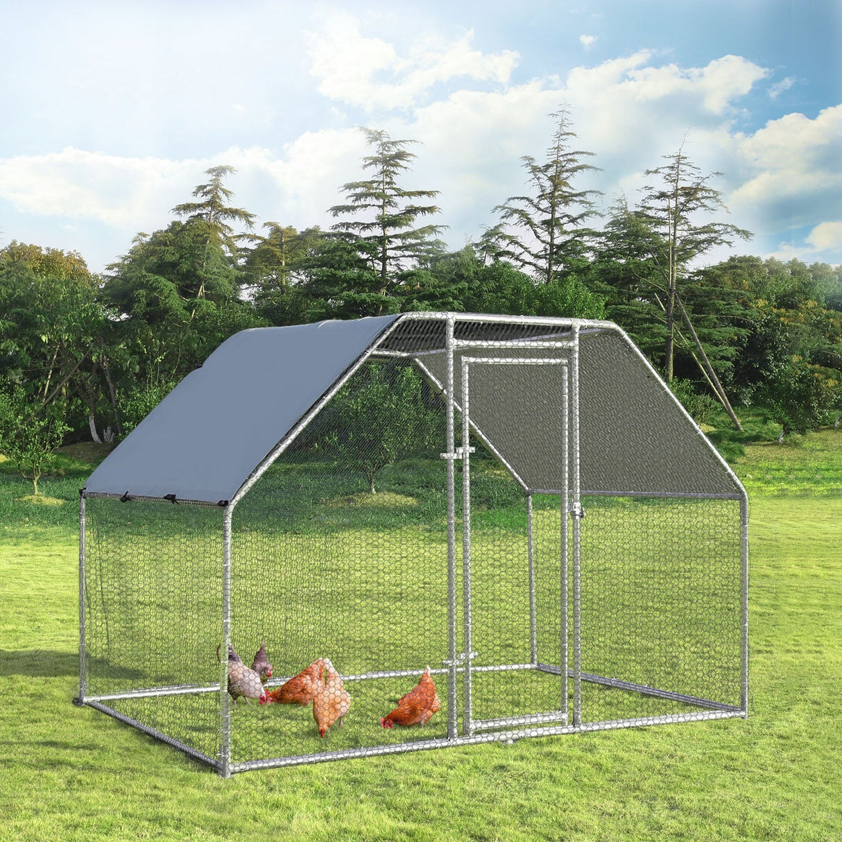 Corral Grande para Gallinas de 9.5 x 6.5 Pies