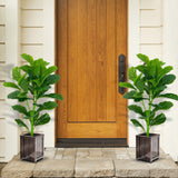 Paquete de 2 Ficus Lyrata Artificiales