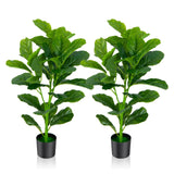Paquete de 2 Ficus Lyrata Artificiales