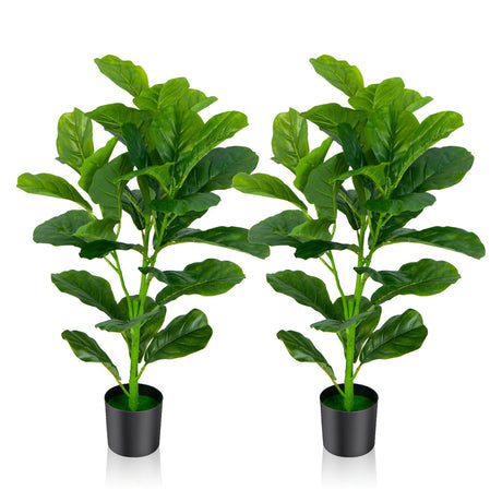 Paquete de 2 Ficus Lyrata Artificiales