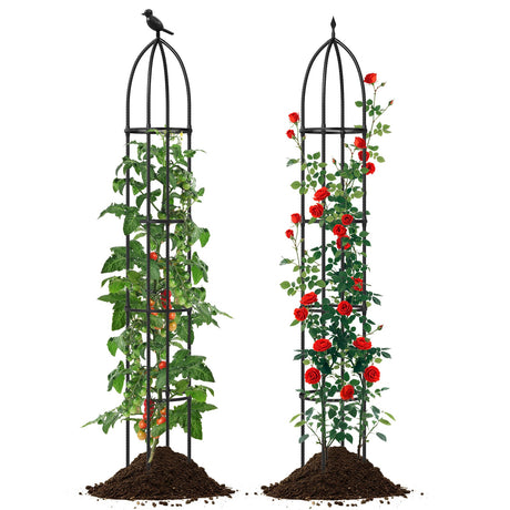 Paquete de 2 celosías de obelisco de jardín para plantas trepadoras - Negro