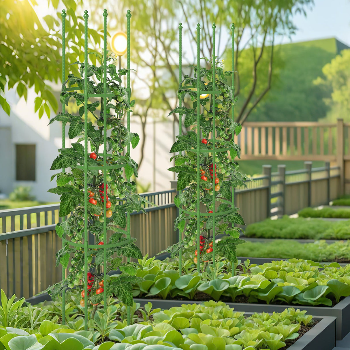 Enrejado de jardín de 2 unidades para jaulas de tomates con altura ajustable - Verde